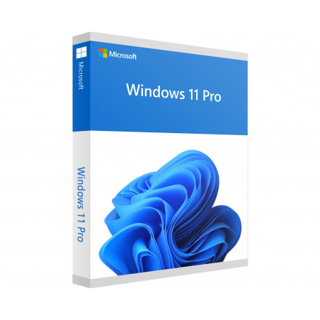 Windows 11 Pro